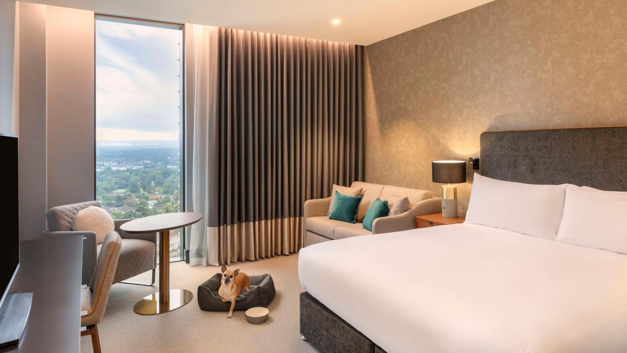 Hilton Woking Hotell Eksteriør bilde